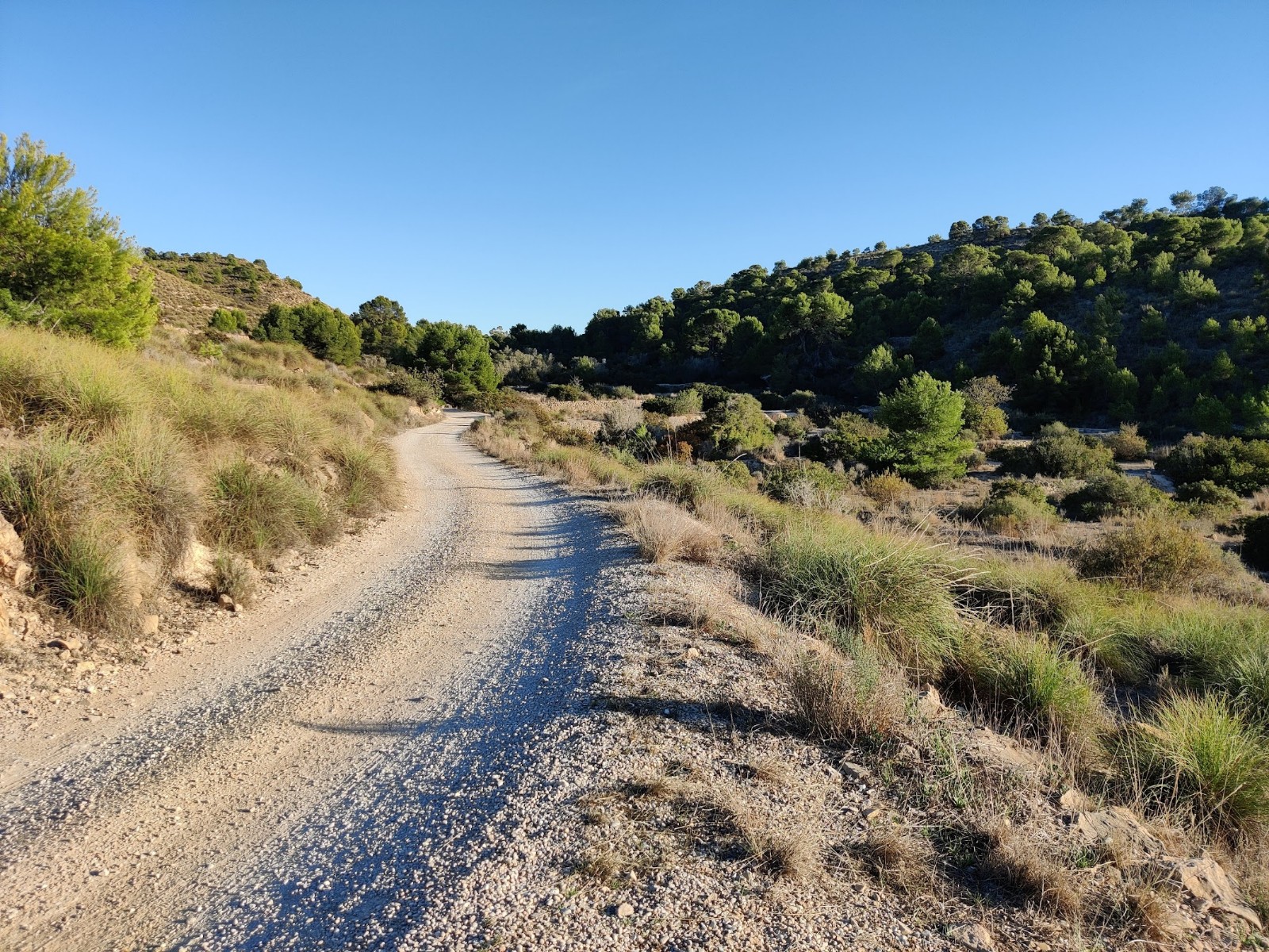 Wandelpad naar de zee